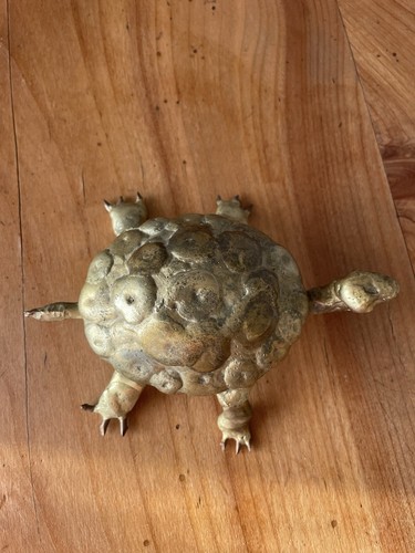 Schildkröte figur aus messing - schildkröte,